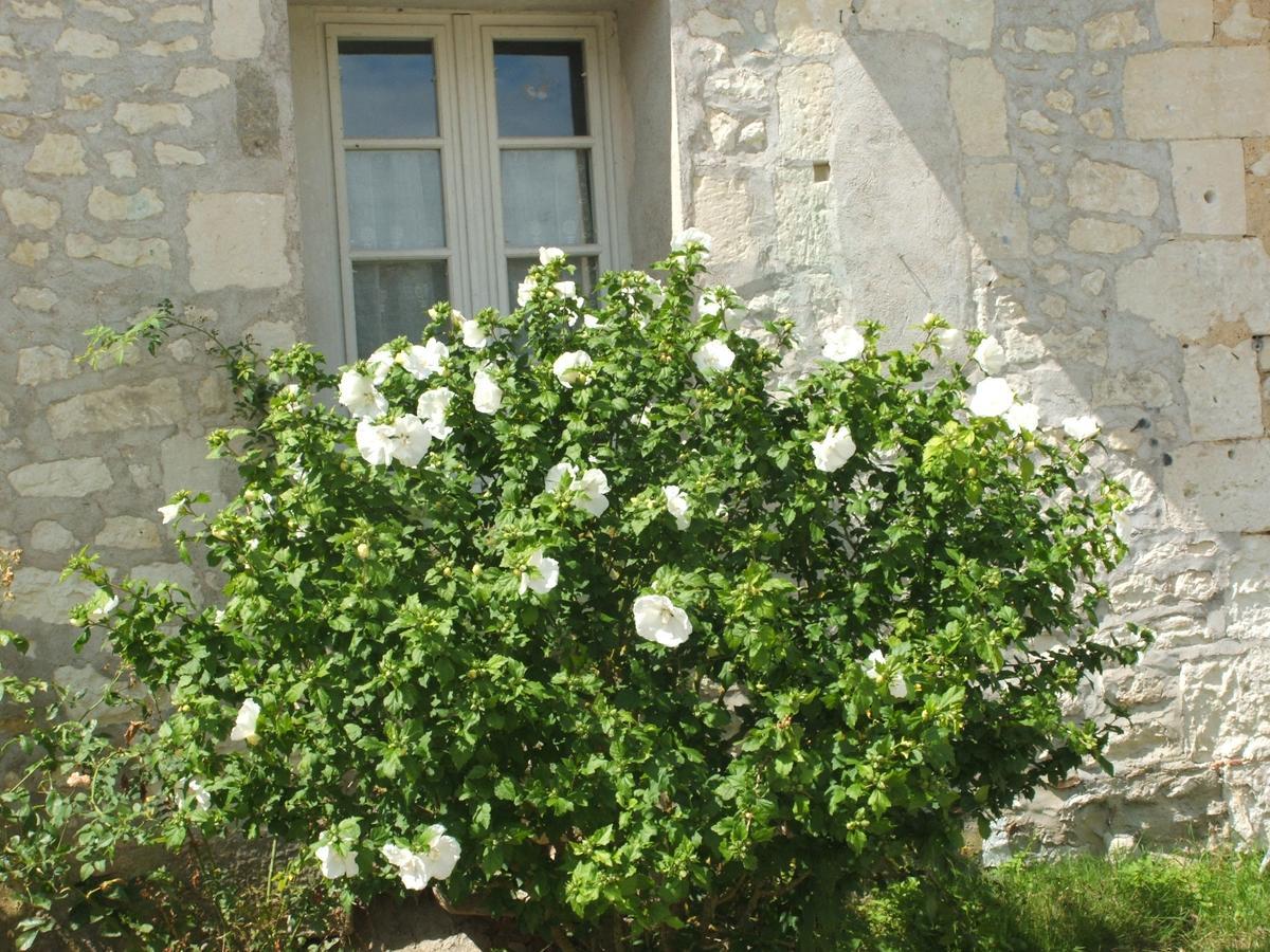 Aparthotel Manoir De La Rousselliere Loches Exterior foto